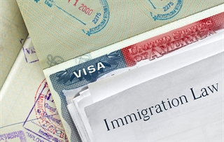 Immigration, VISA