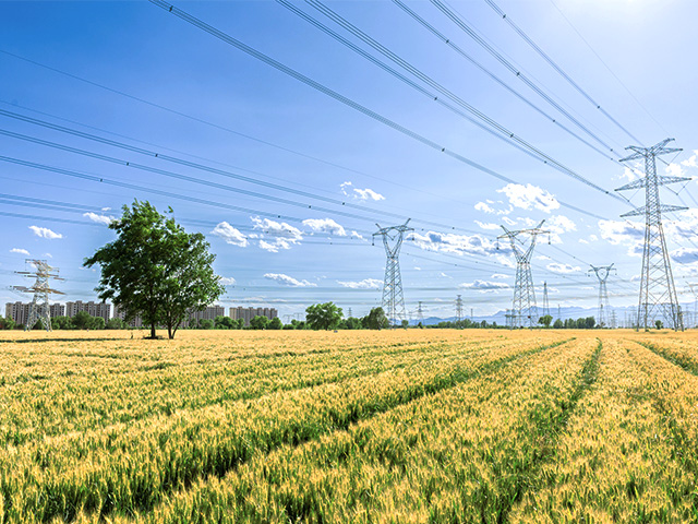 Power lines over field